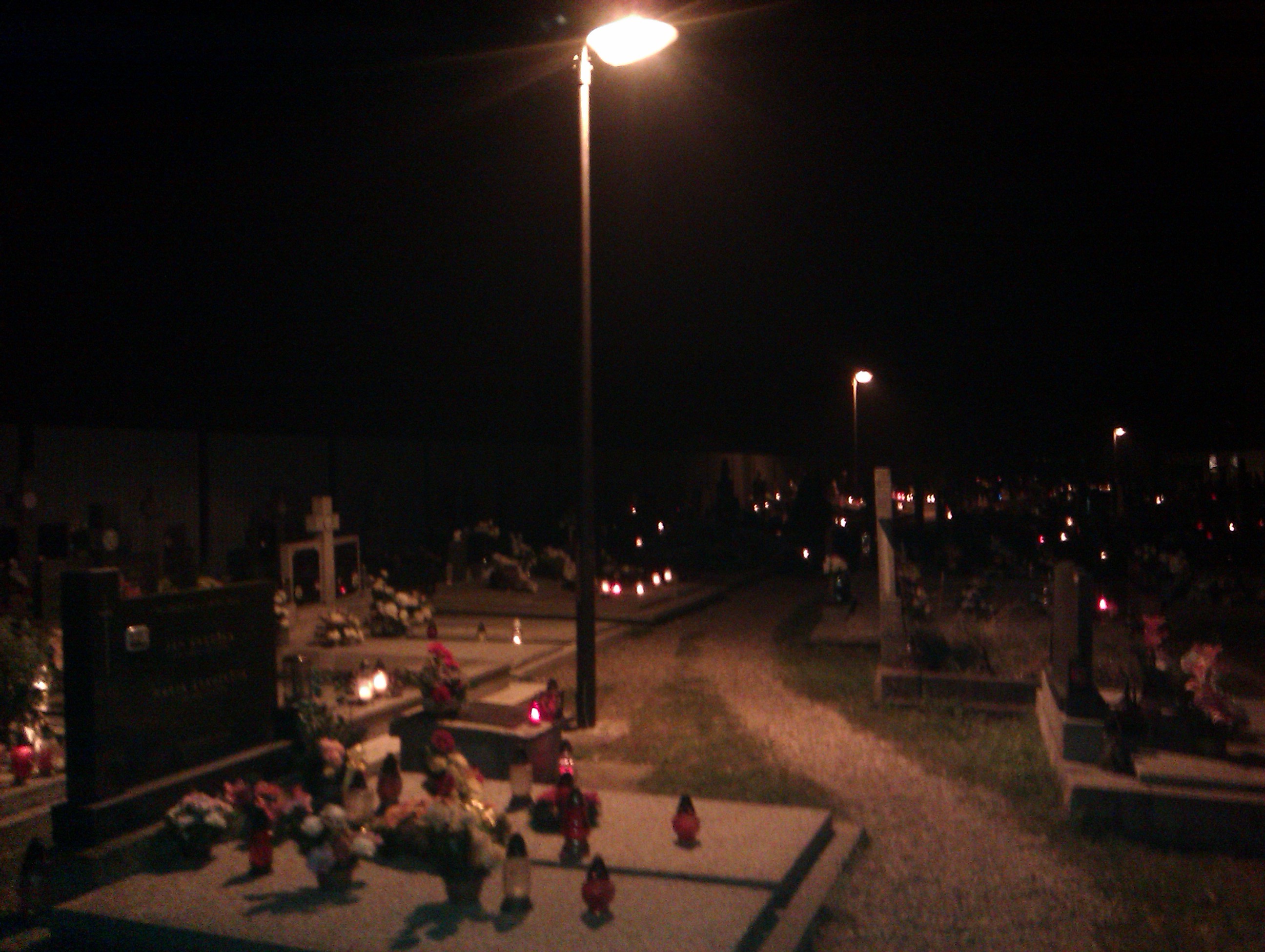 IMAG0517